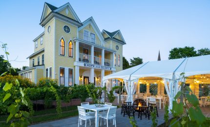 The Dog & Oyster Micro-Vineyard at The Hope & Glory Inn