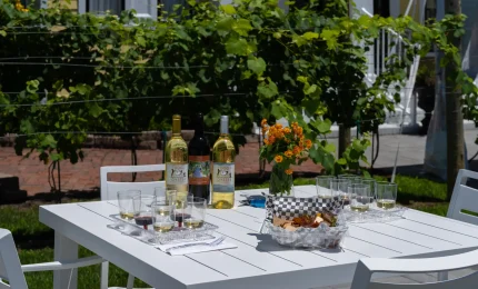 Dog & Oyster Micro-Vineyard in Irvington, Virginia