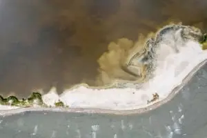 Beautiful habitat at the Hughlett Point Natural Area Preserve near our Virginia Bed and Breakfast