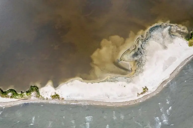 Beautiful habitat at the Hughlett Point Natural Area Preserve near our Virginia Bed and Breakfast