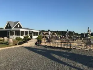 The Dog and Oyster Vineyard